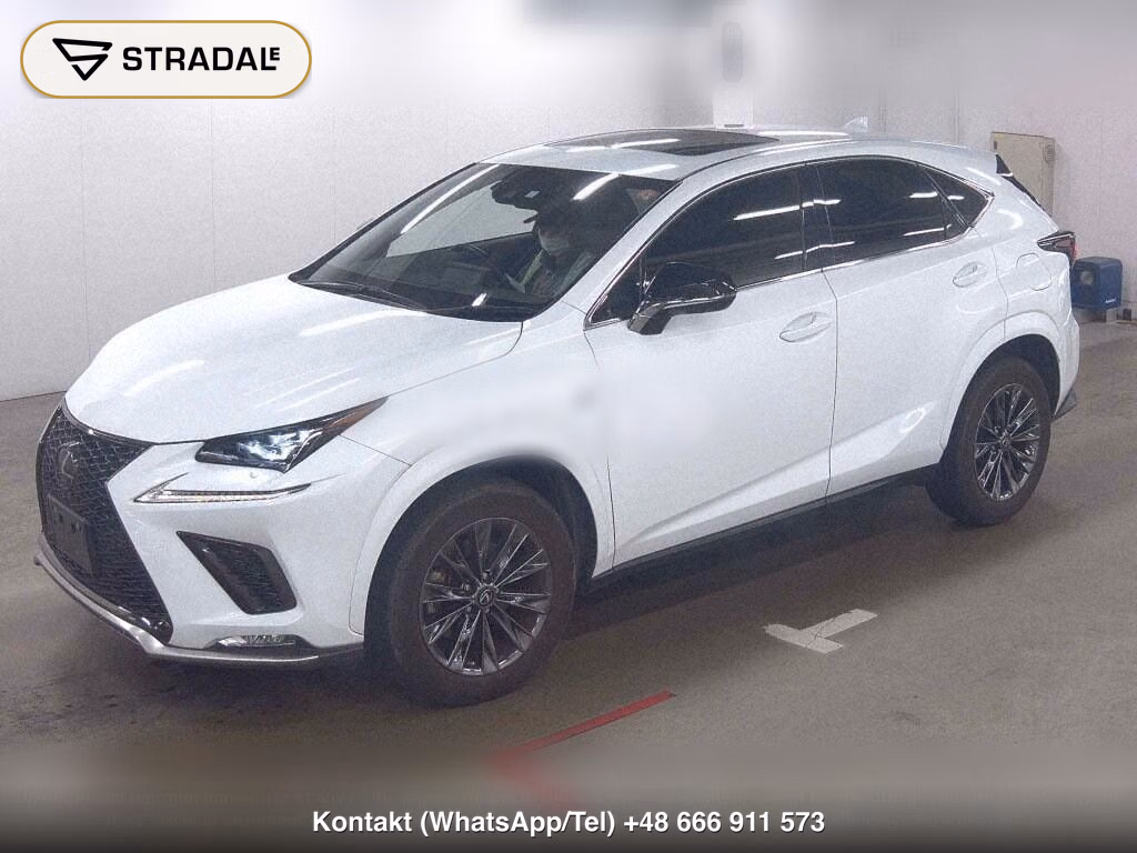 LEXUS NX NX300 SPECIAL EDITION COOL AND BRIGHT, miniaturka 5