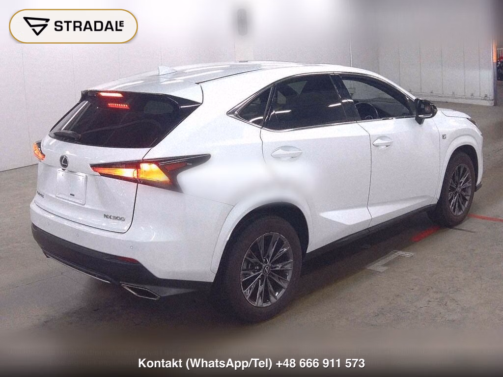 LEXUS NX NX300 SPECIAL EDITION COOL AND BRIGHT, miniaturka 6