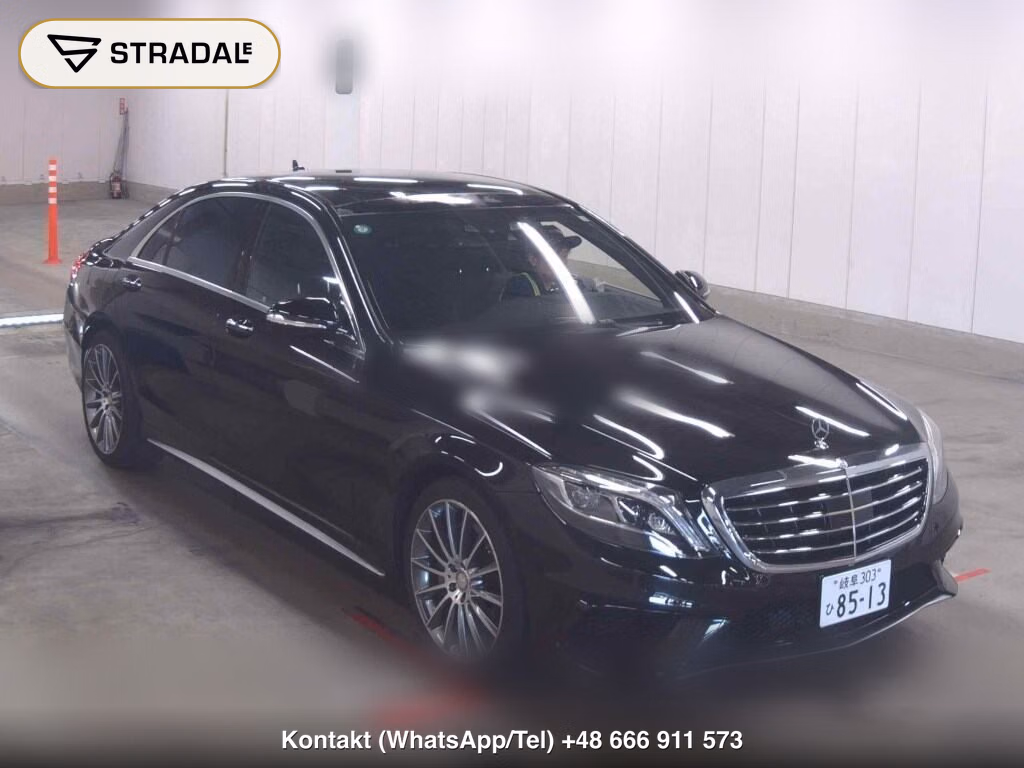 MERCEDES BENZ S-CLASS 4D OTHERS 2013, aukcja z Japonii, zdjęcie 1