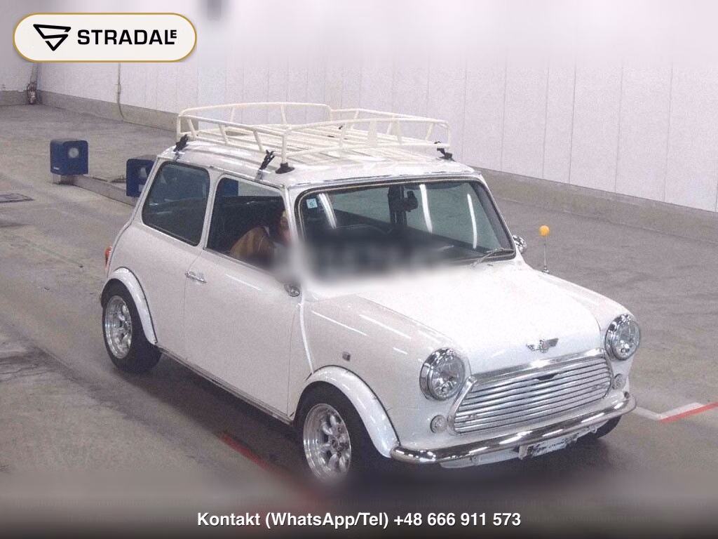 ROVER MINI 2D 1.3, miniaturka 2