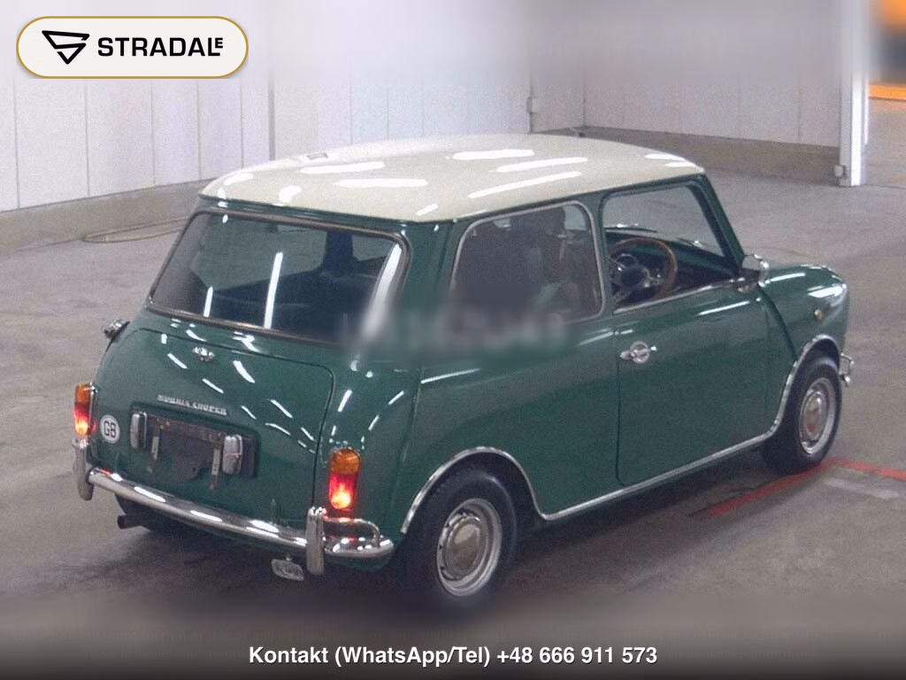 ROVER MINI 2D 1.3, miniaturka 6
