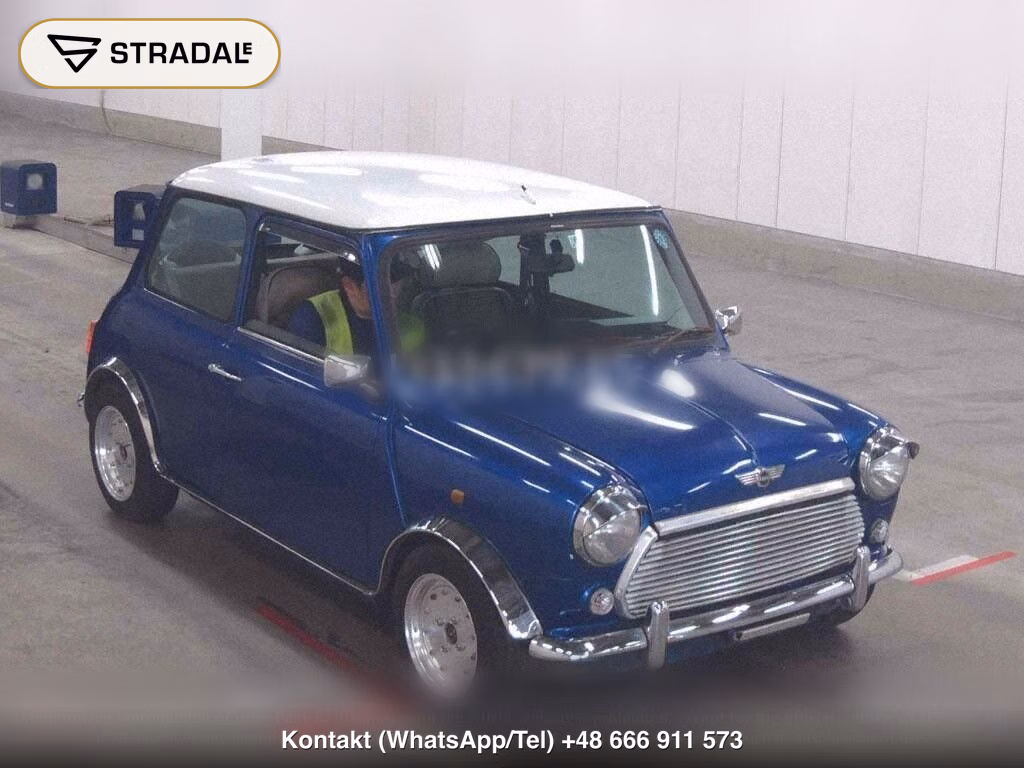 ROVER MINI 2D, miniaturka 2