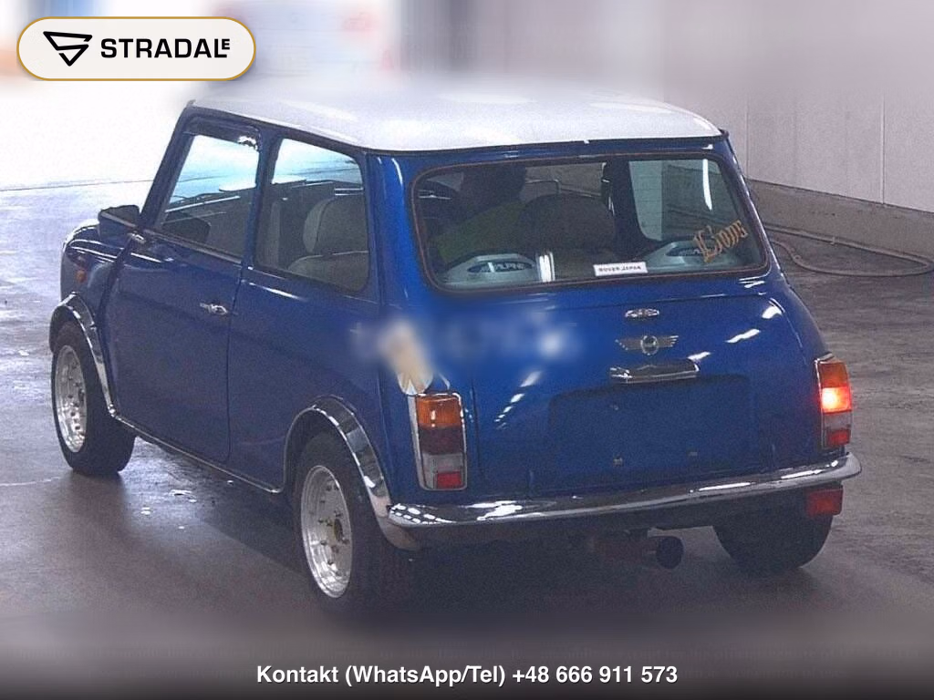 ROVER MINI 2D, miniaturka 3