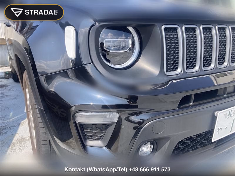 CHRYSLER JEEP JEEP RENEGADE LIMITED, miniaturka 10