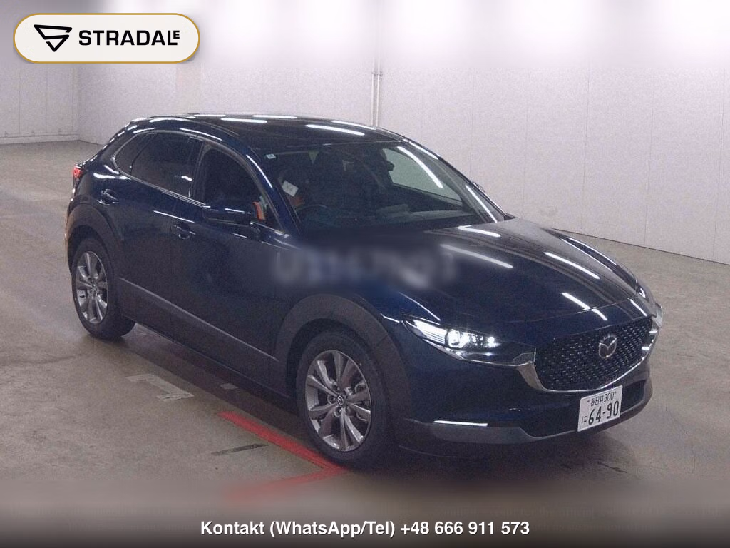 MAZDA CX-30 4WD XD PROACTIVE, miniaturka 2