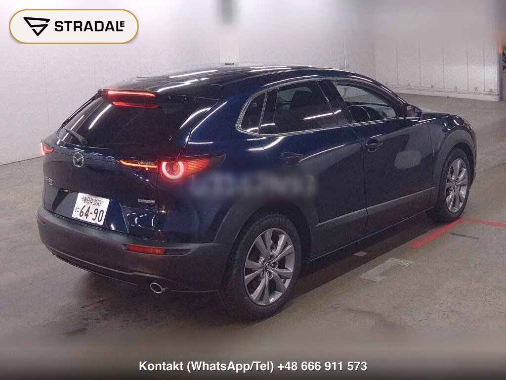 MAZDA CX-30 4WD XD PROACTIVE, miniaturka 6