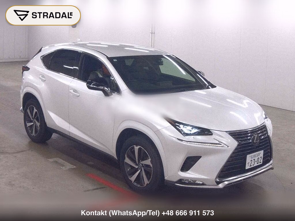 LEXUS NX NX300 SPECIAL EDITION SPICE AND CHIC, miniaturka 2