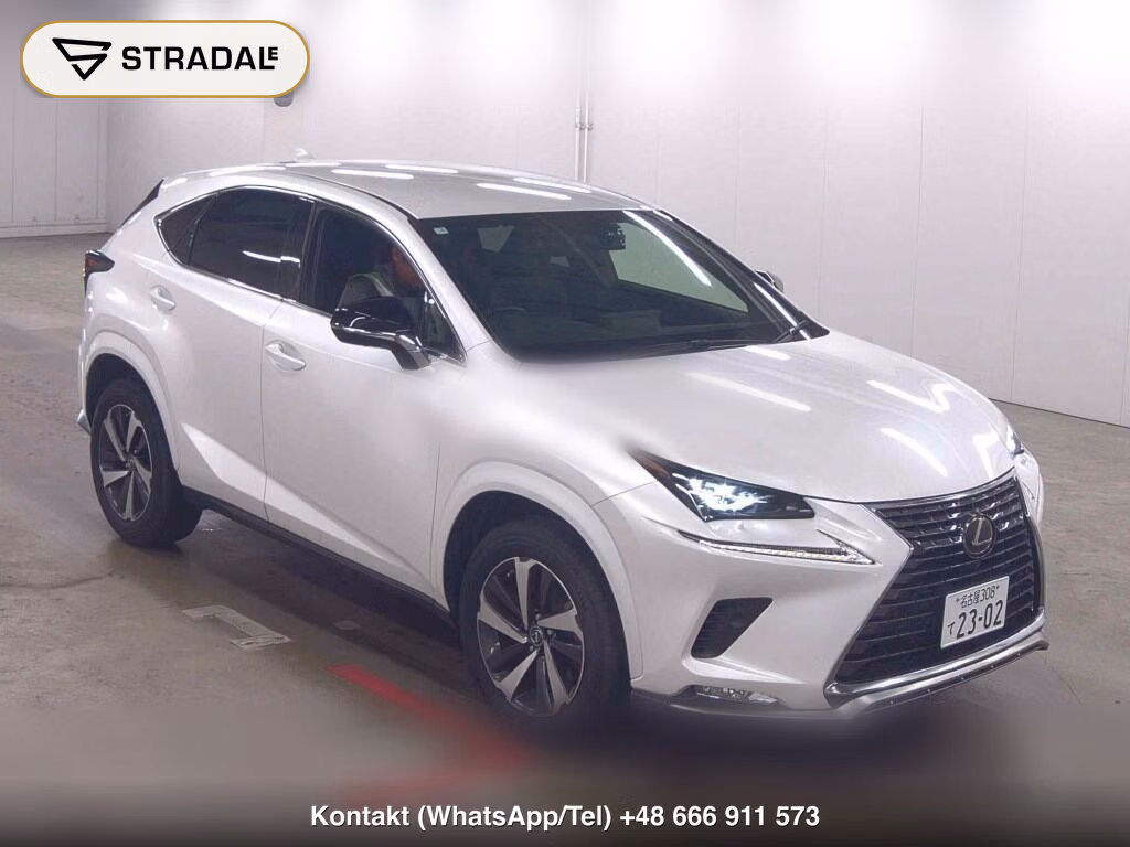LEXUS NX NX300 SPECIAL EDITION SPICE AND CHIC 2021, aukcja z Japonii, zdjęcie 1