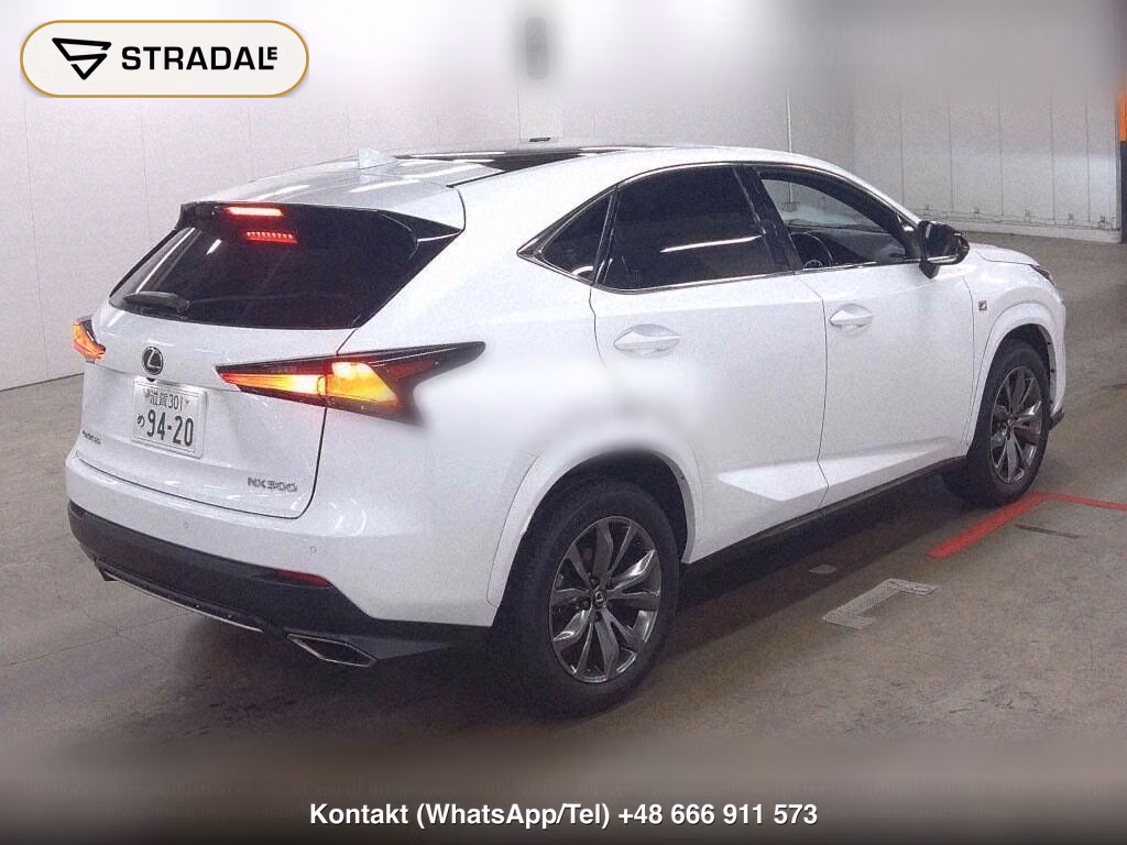 LEXUS NX NX300 F SPORT, miniaturka 6