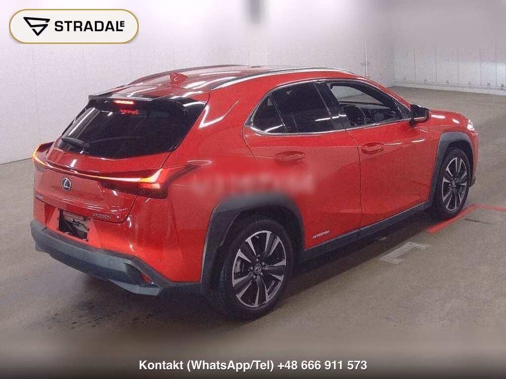 LEXUS UX 4WD UX250H VERSION L, miniaturka 6