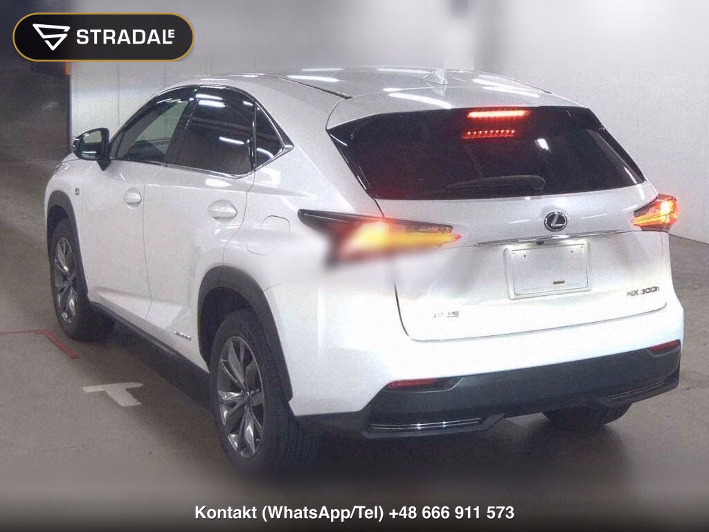 LEXUS NX NX300H F SPORT, miniaturka 3