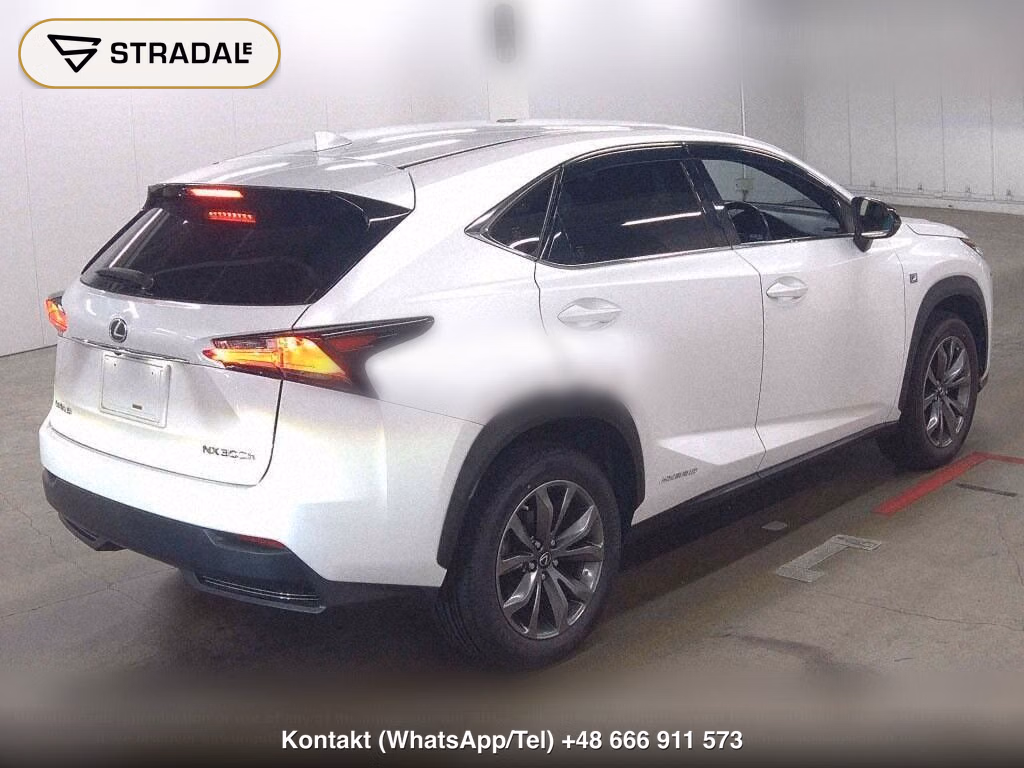 LEXUS NX NX300H F SPORT, miniaturka 6