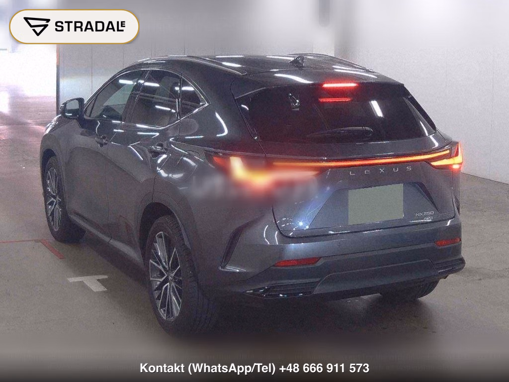 LEXUS NX 4WD NX250, miniaturka 3