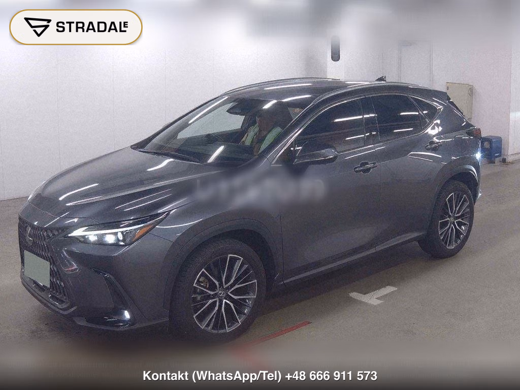 LEXUS NX 4WD NX250, miniaturka 5