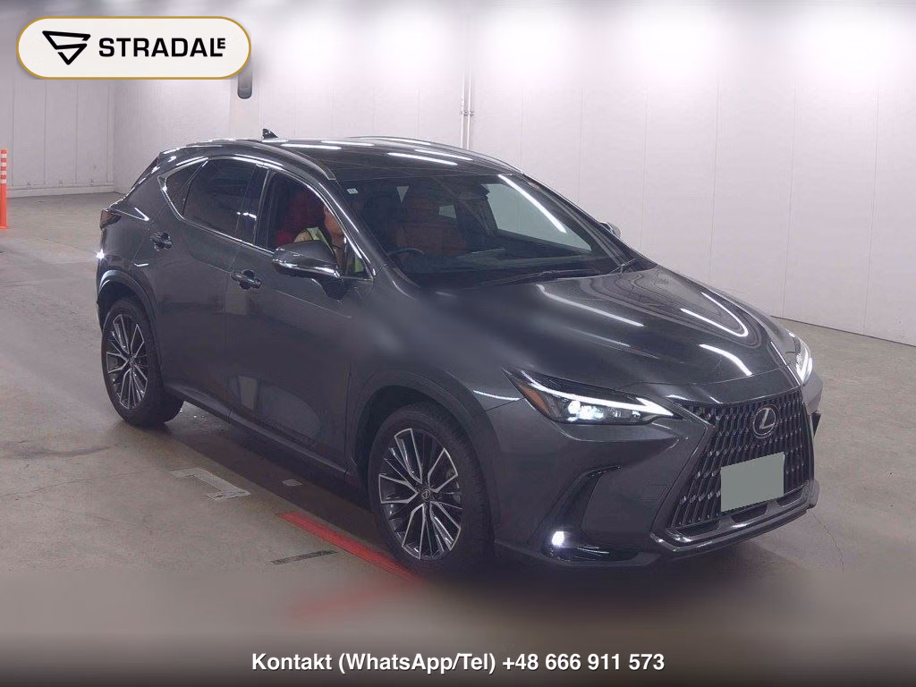 LEXUS NX 4WD NX250 2024, aukcja z Japonii, zdjęcie 1