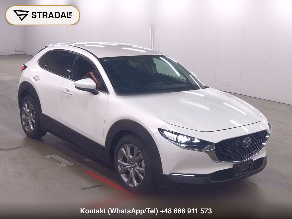 MAZDA CX-30 XD PROACTIVE TOURING SELECTION 2020, aukcja z Japonii, zdjęcie 1
