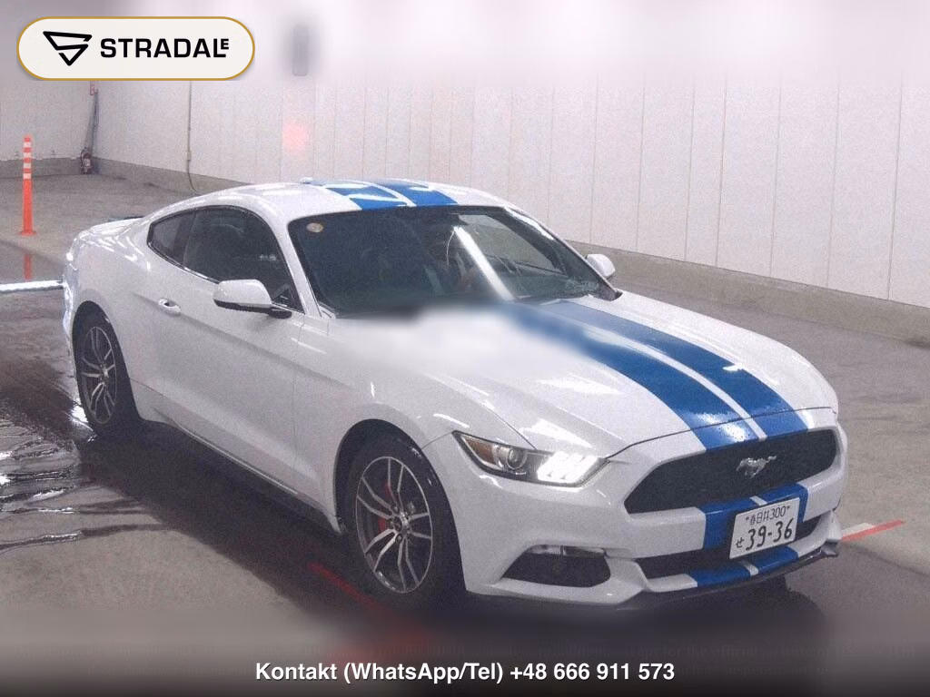 FORD MUSTANG CP ECO BOOST, miniaturka 2