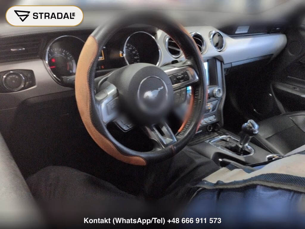 FORD MUSTANG CP ECO BOOST, miniaturka 4