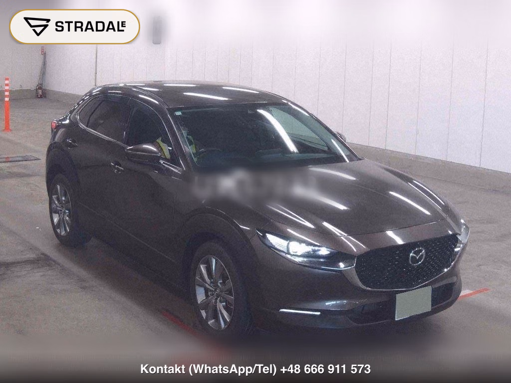 MAZDA CX-30 20S PROACTIVE TOURING SELECTION, miniaturka 2