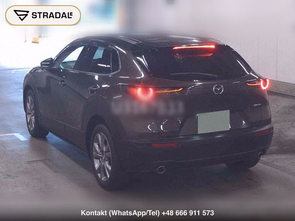 MAZDA CX-30 20S PROACTIVE TOURING SELECTION, miniaturka 3