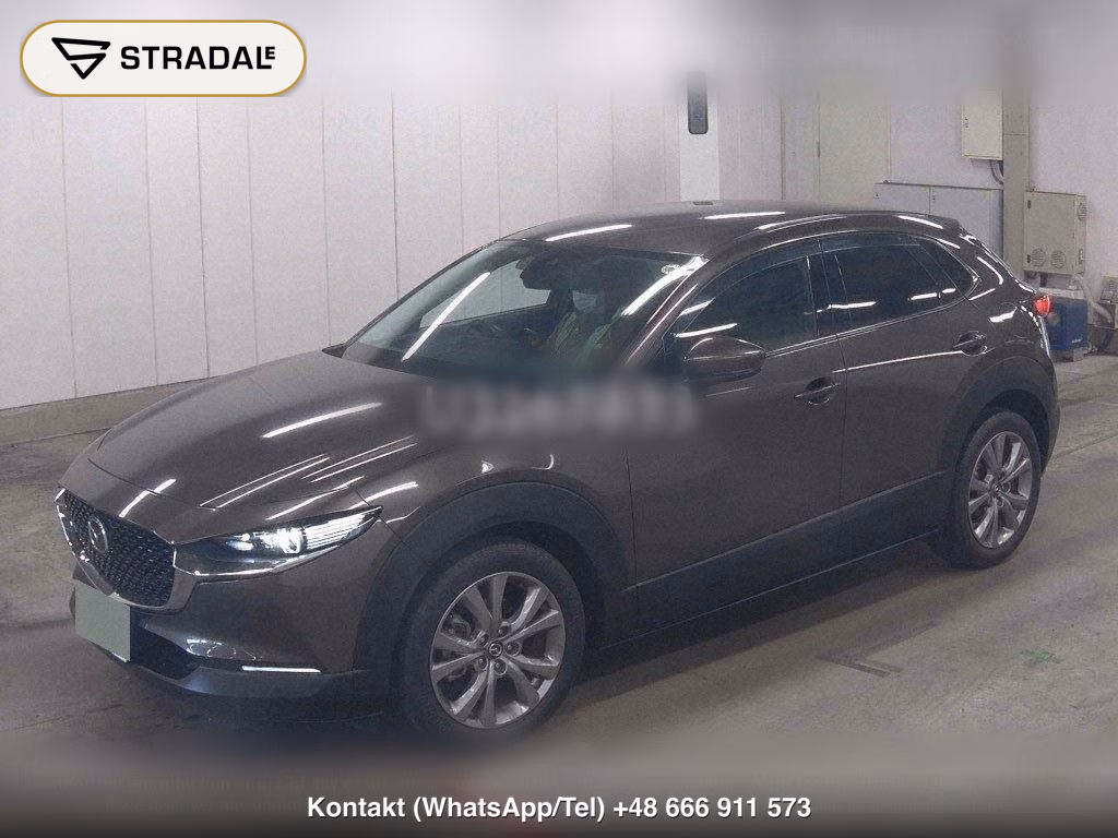 MAZDA CX-30 20S PROACTIVE TOURING SELECTION, miniaturka 5