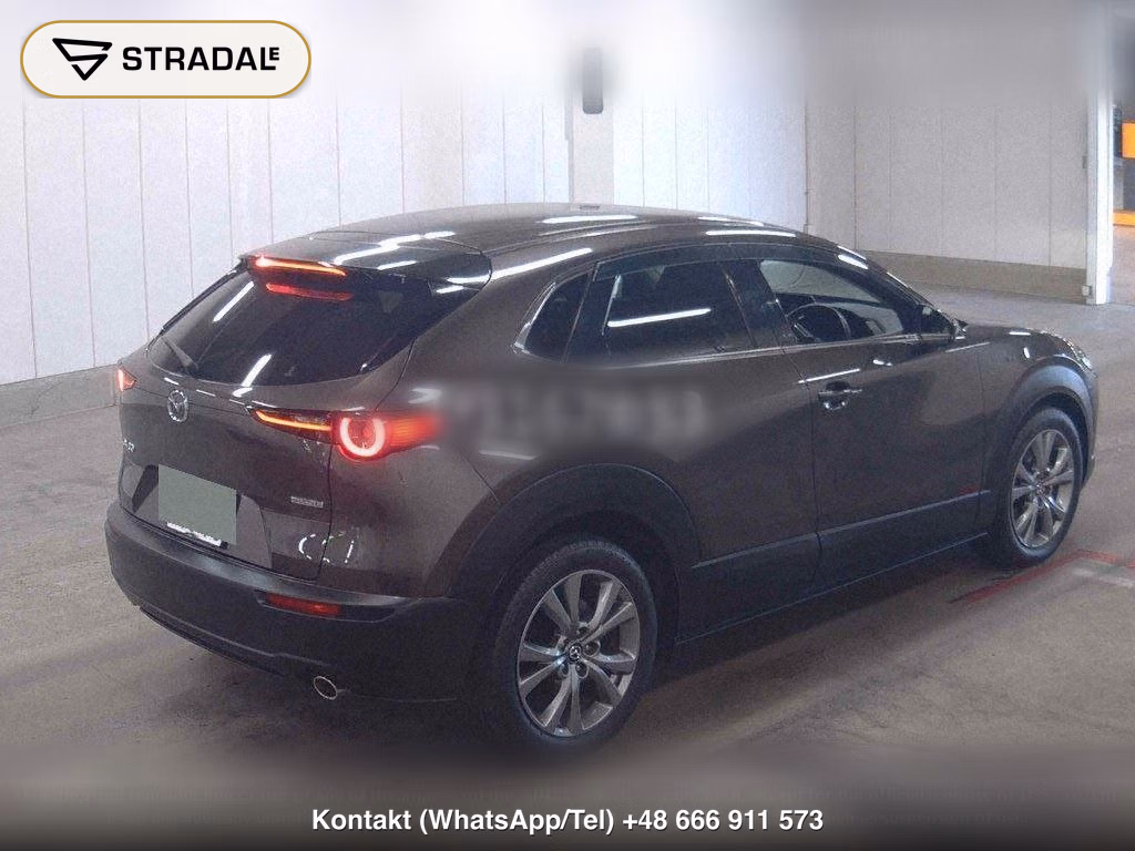 MAZDA CX-30 20S PROACTIVE TOURING SELECTION, miniaturka 6
