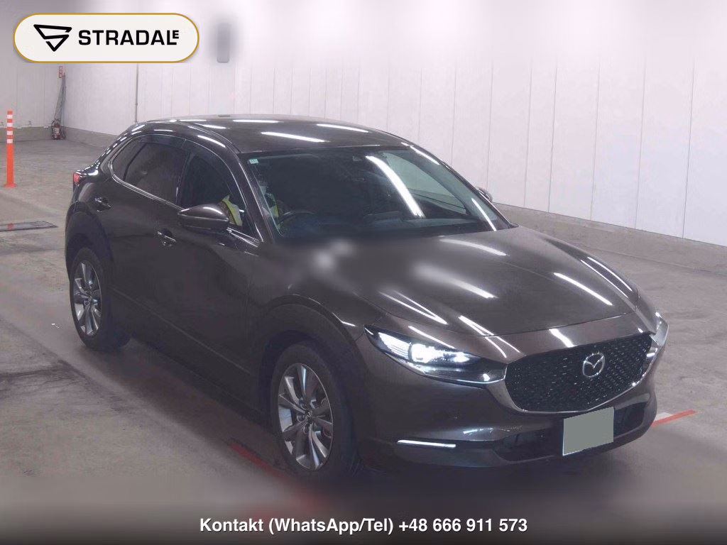 MAZDA CX-30 20S PROACTIVE TOURING SELECTION 2020, aukcja z Japonii, zdjęcie 1