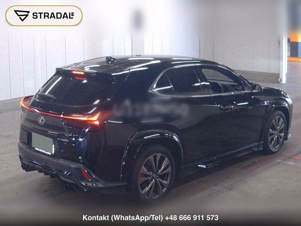 LEXUS UX UX300H F SPORT, miniaturka 6