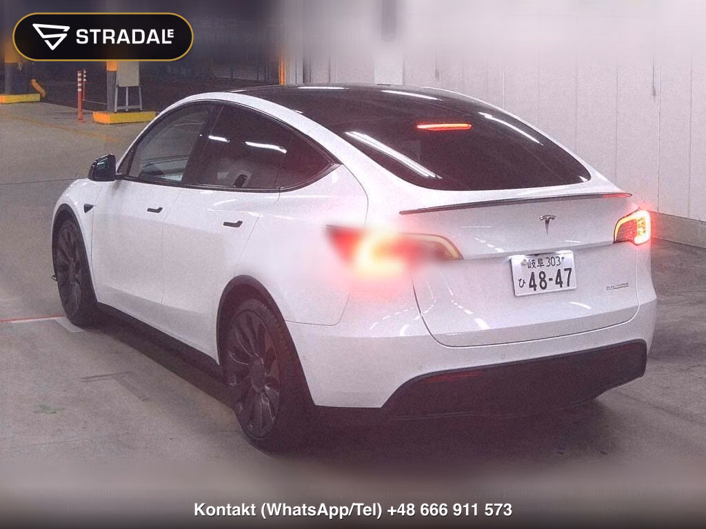 TESLA MODEL Y 4WD PERFORMANCE, miniaturka 3