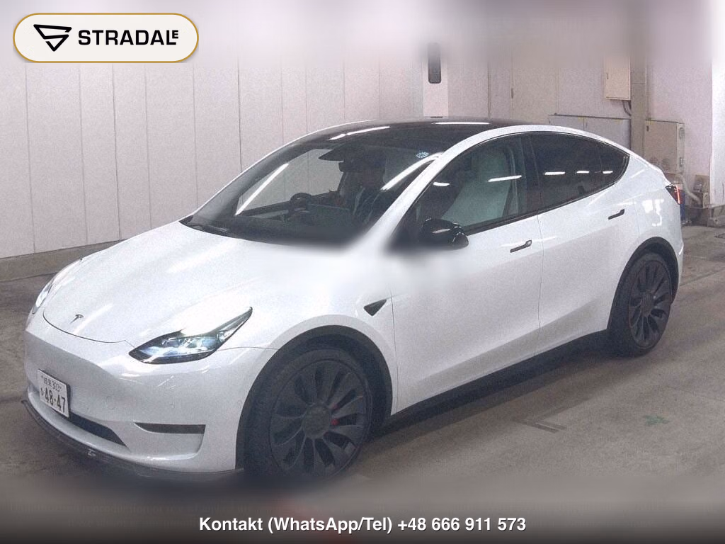 TESLA MODEL Y 4WD PERFORMANCE, miniaturka 5