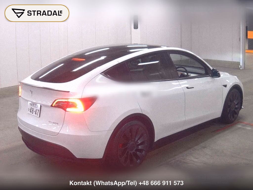 TESLA MODEL Y 4WD PERFORMANCE, miniaturka 6