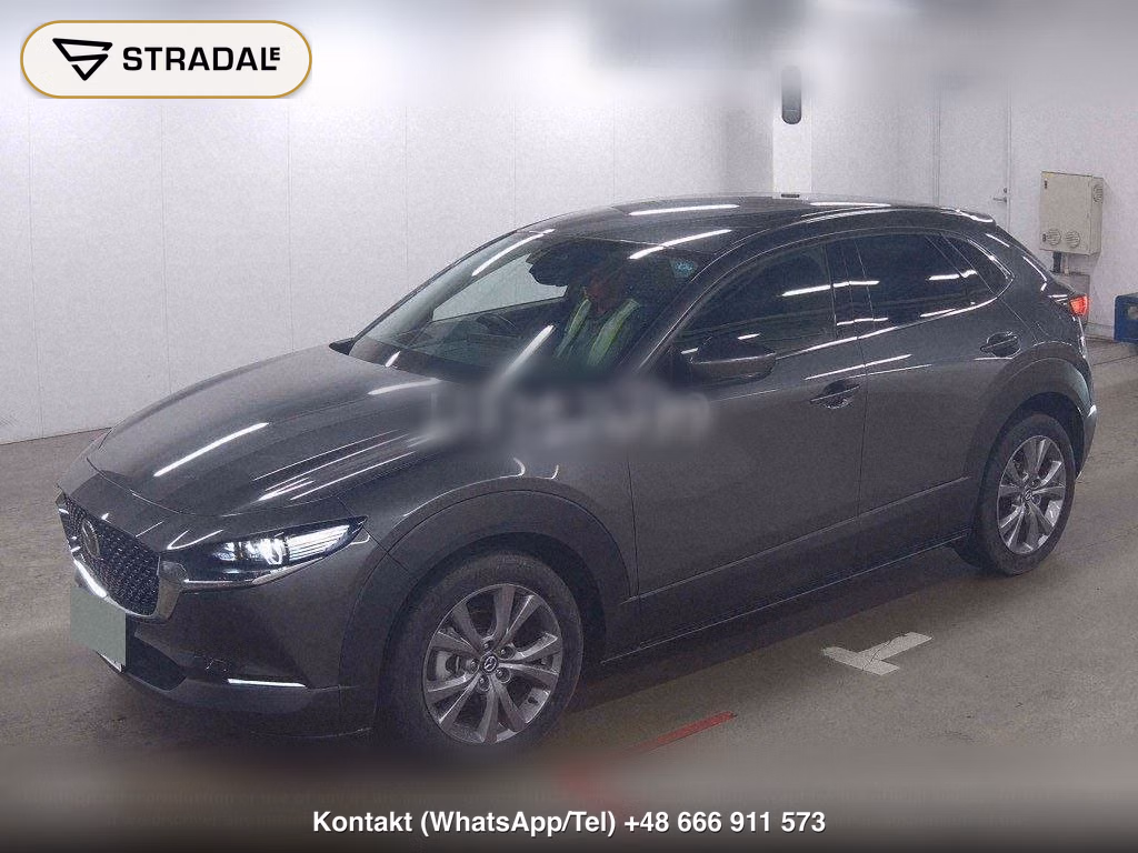 MAZDA CX-30 20S PROACTIVE TOURING SELECTION, miniaturka 5