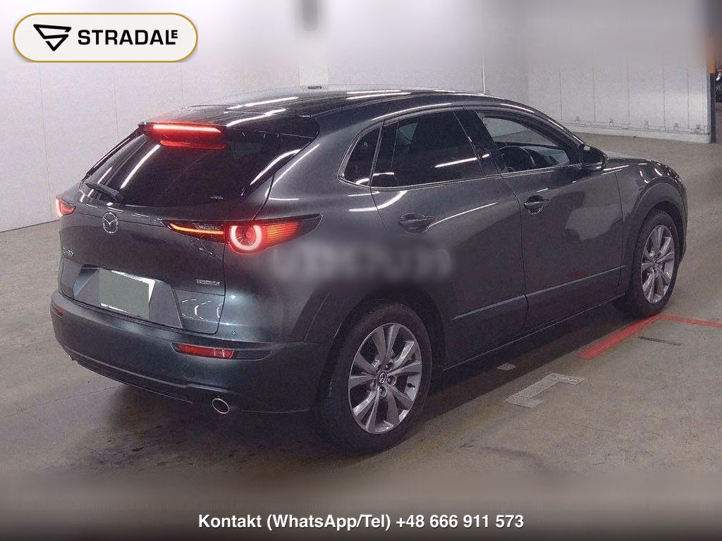 MAZDA CX-30 20S PROACTIVE TOURING SELECTION, miniaturka 6