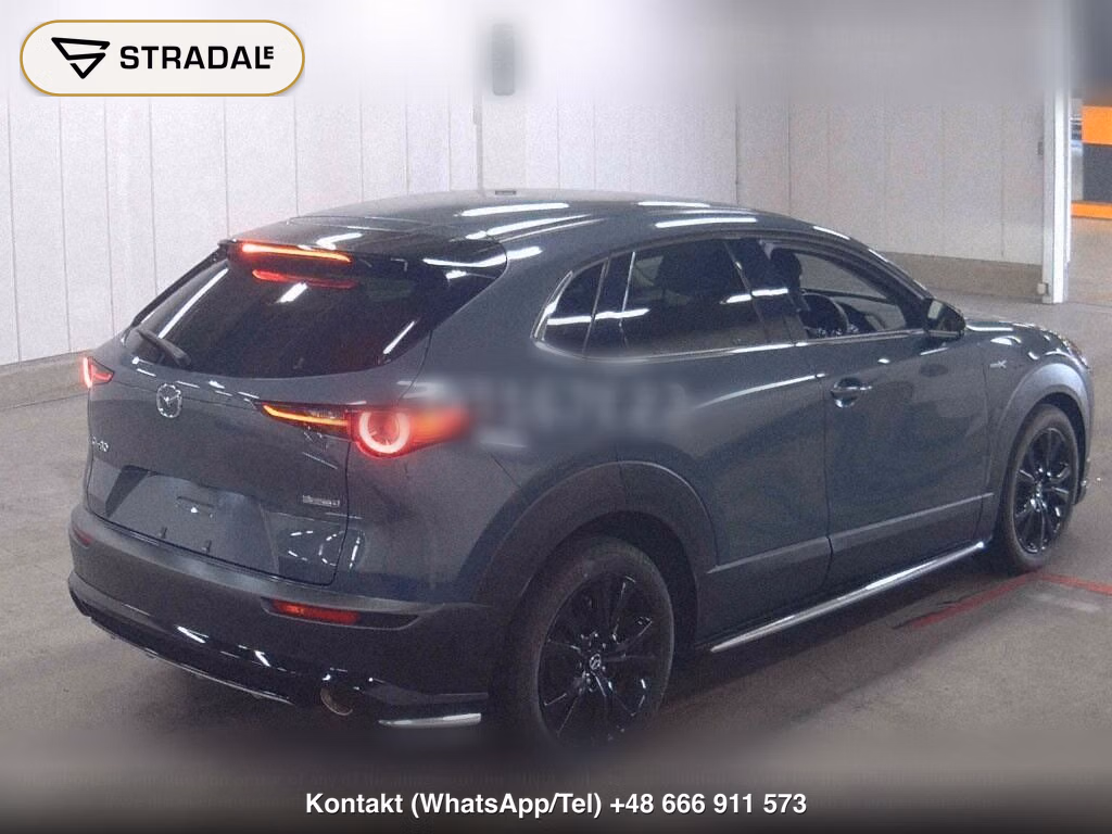 MAZDA CX-30 X BLACK TONE EDITION, miniaturka 6