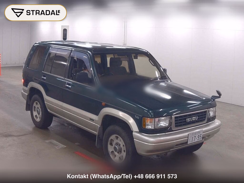 ISUZU BIGHORN 5D 4WD 1995, aukcja z Japonii, zdjęcie 1
