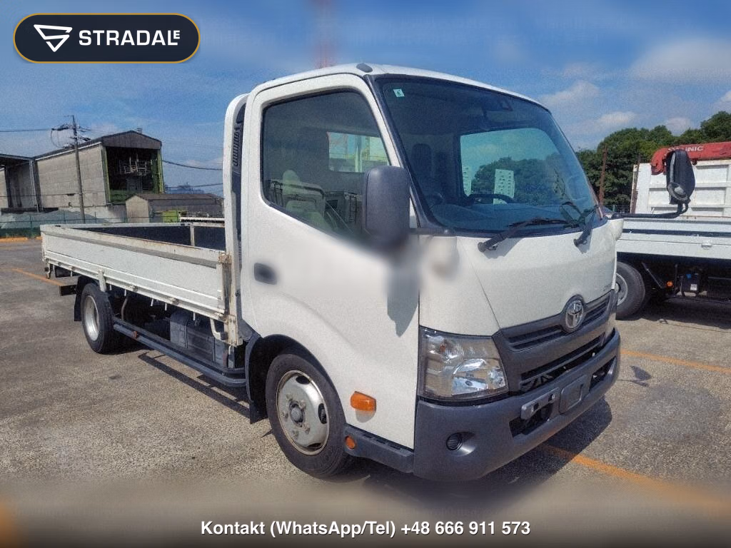TOYOTA DYNA TRUCK 2D, miniaturka 2