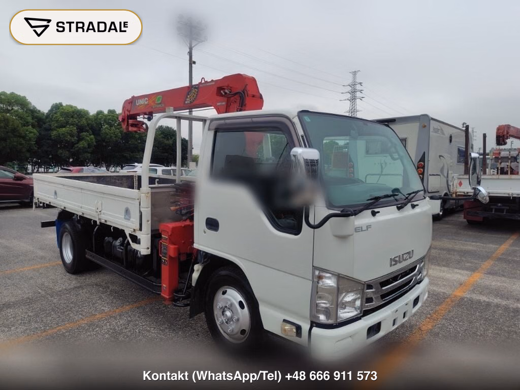 ISUZU ELF TRUCK 2D OTHERS 2018, aukcja z Japonii, zdjęcie 1