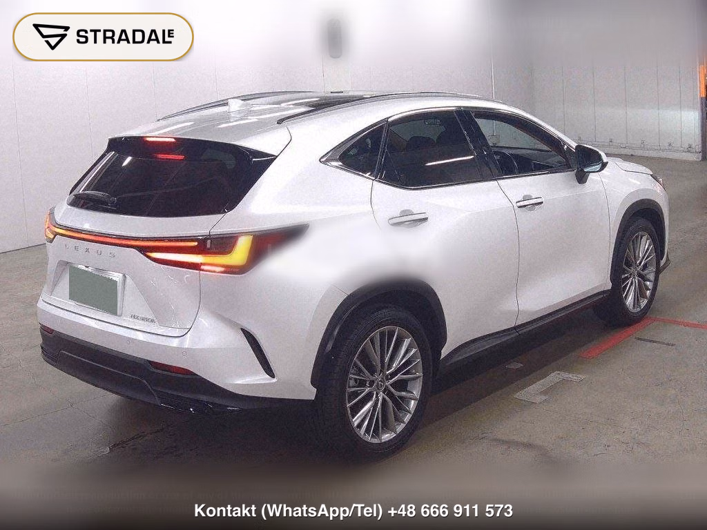 LEXUS NX NX350H VERSION L, miniaturka 6