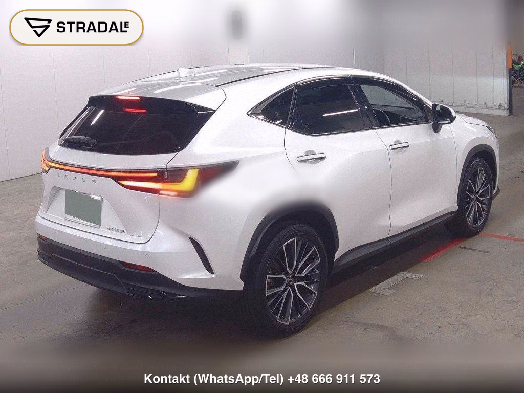 LEXUS NX NX350H VERSION L, miniaturka 6