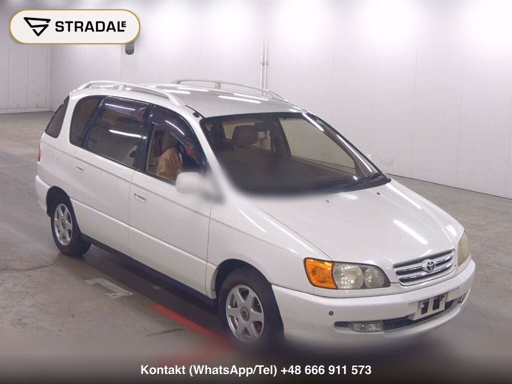 TOYOTA IPSUM MEMORIAL EDITION 1999, aukcja z Japonii, zdjęcie 1