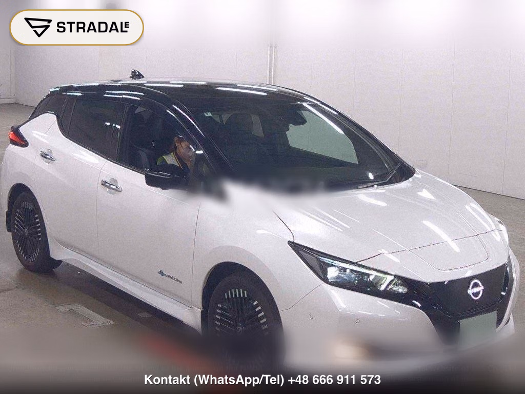 NISSAN LEAF E+ G, miniaturka 2