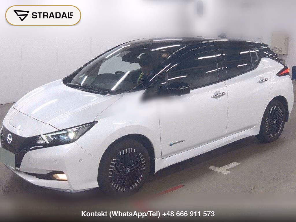 NISSAN LEAF E+ G, miniaturka 5