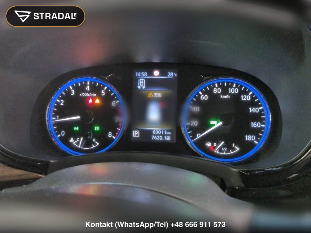 NISSAN ELGRAND 5D 250 HIGHWAY STAR S, miniaturka 7