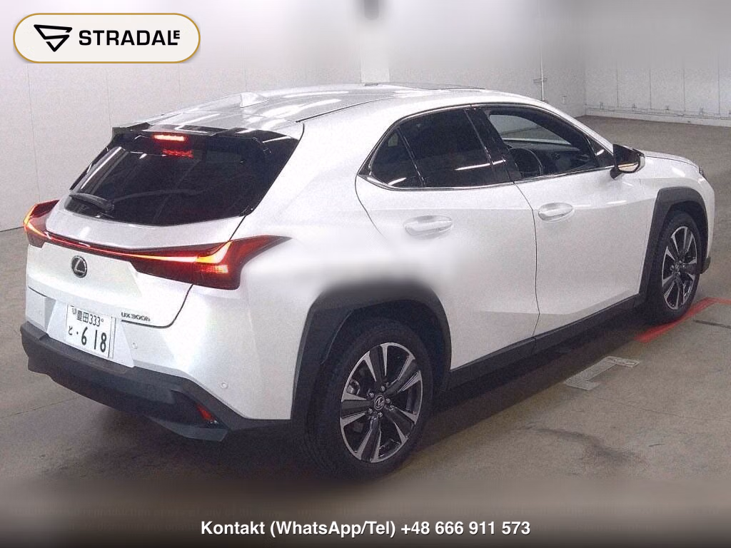 LEXUS UX UX300H VERSION C, miniaturka 6