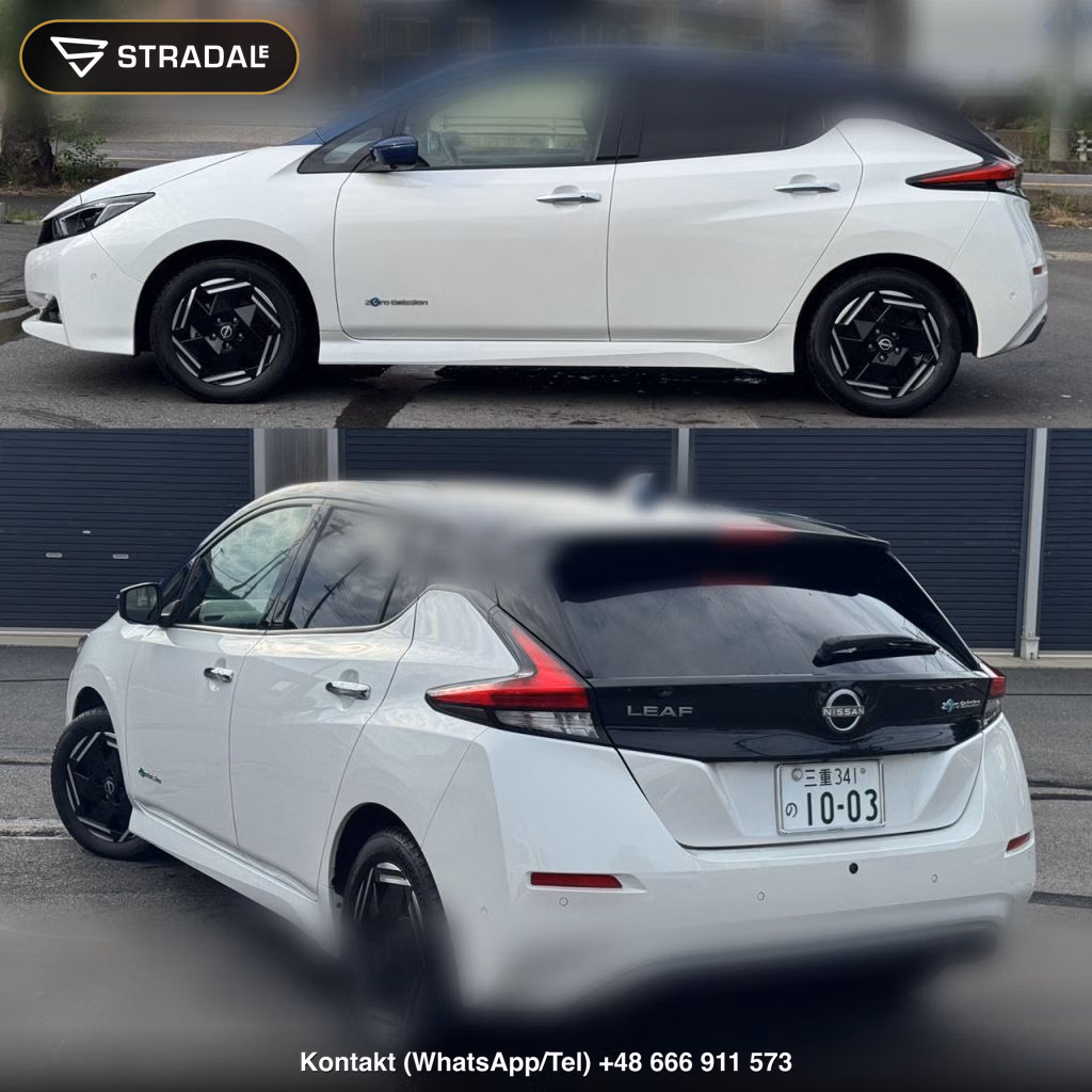 NISSAN LEAF X, miniaturka 11