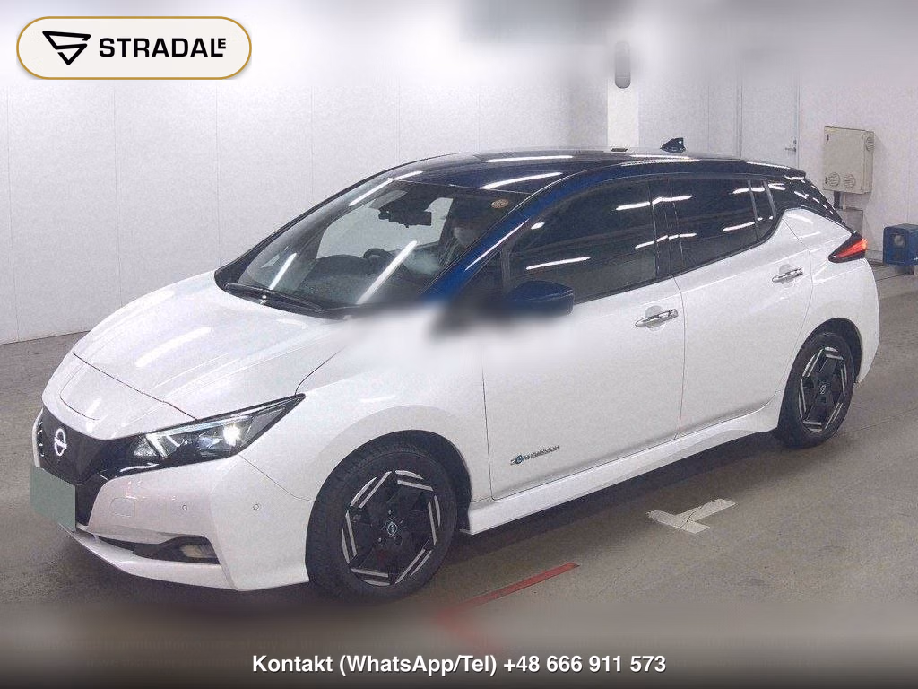 NISSAN LEAF X, miniaturka 5