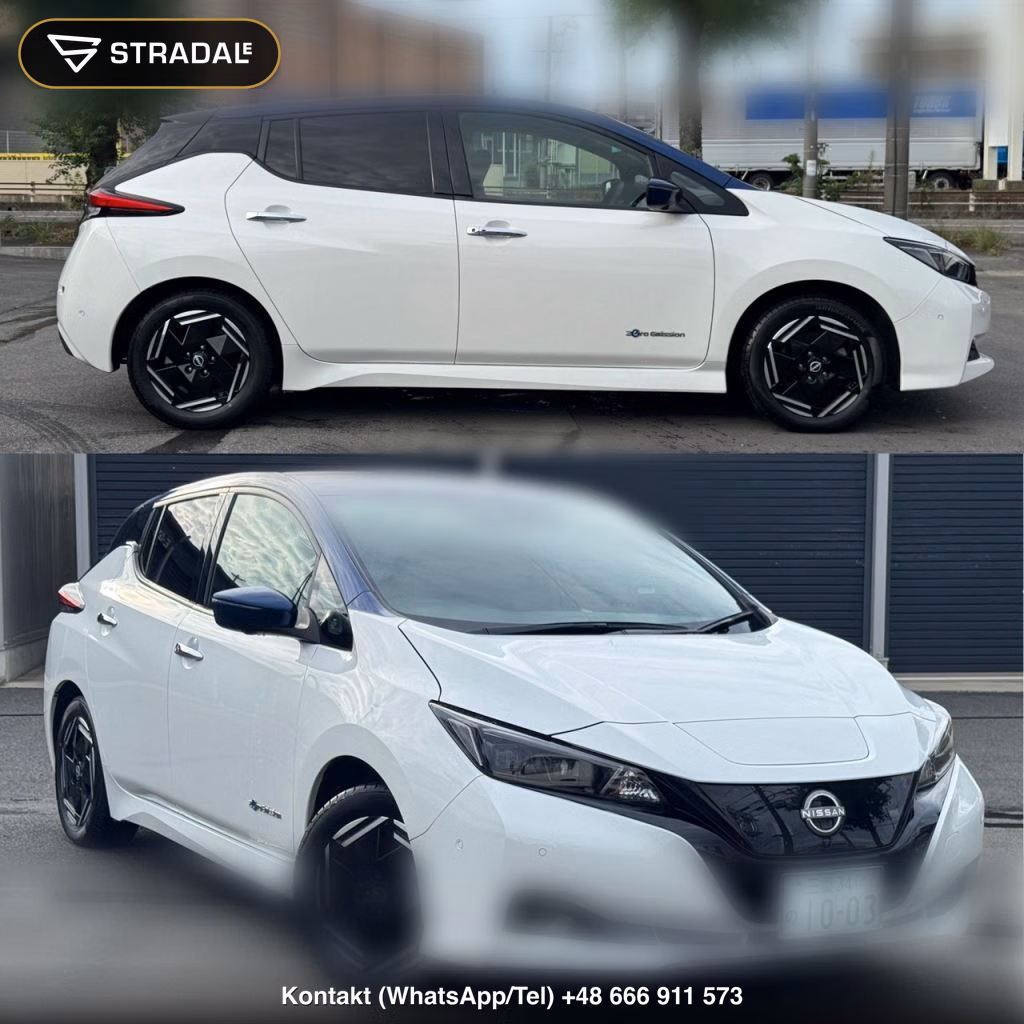 NISSAN LEAF X, miniaturka 10