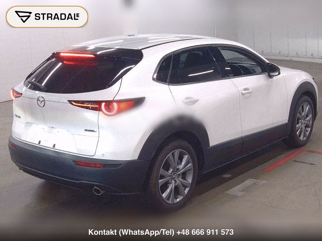 MAZDA CX-30 XD PROACTIVE, miniaturka 6