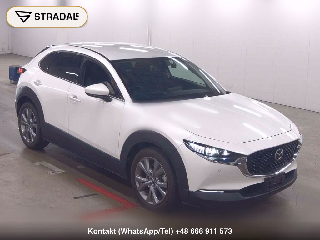 MAZDA CX-30 XD PROACTIVE 2023, aukcja z Japonii, zdjęcie 1