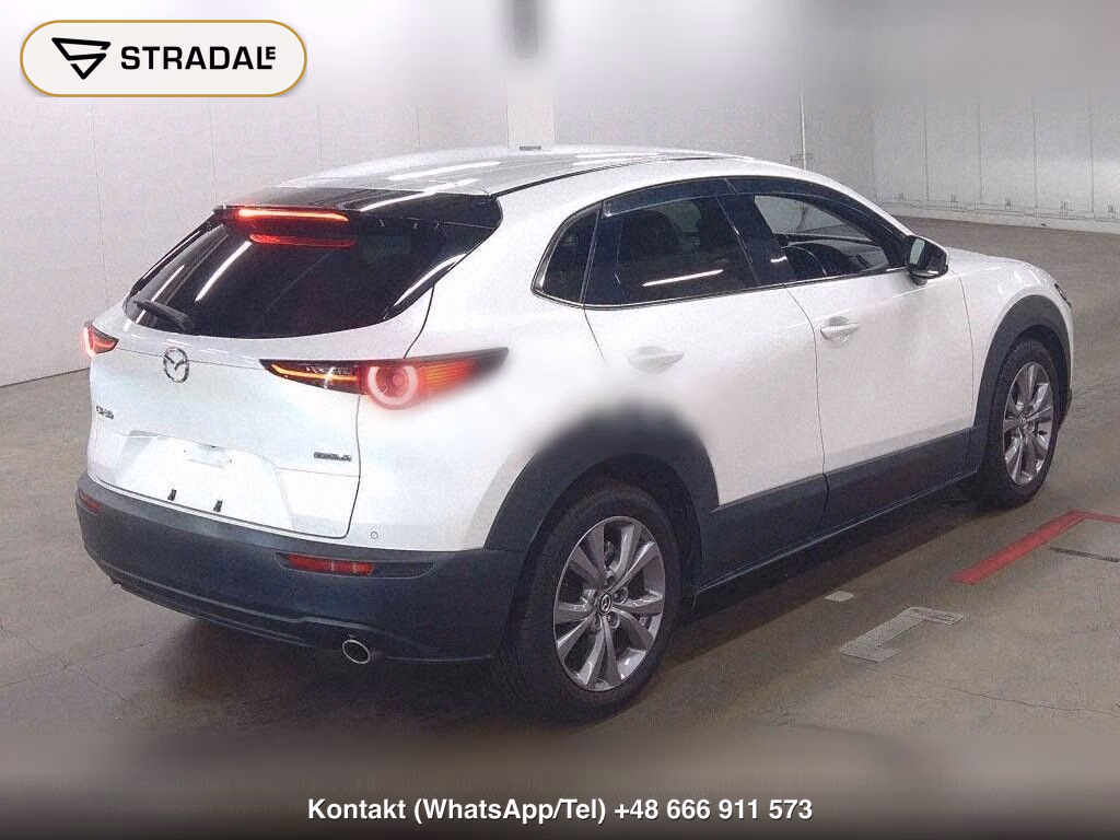 MAZDA CX-30 XD L PACKAGE, miniaturka 6